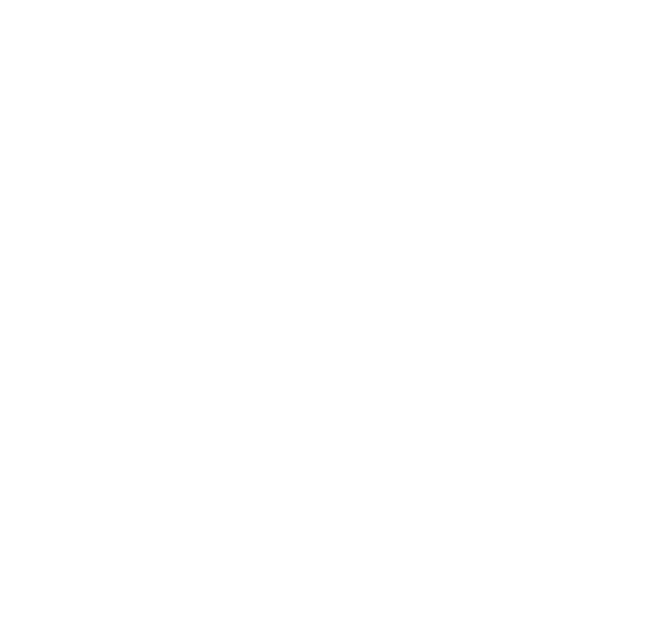 Birmingham Airport Authority