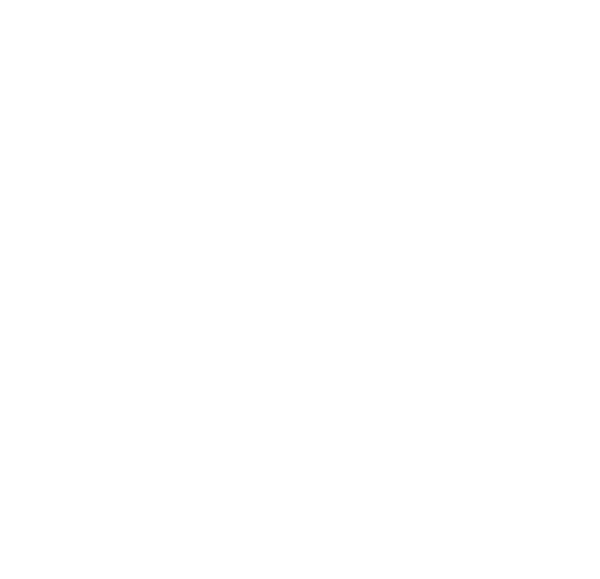 Birmingham Airport Authority